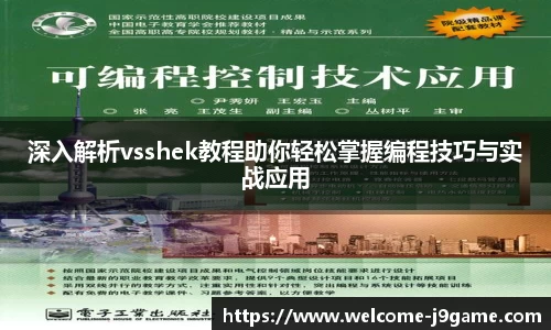 深入解析vsshek教程助你轻松掌握编程技巧与实战应用